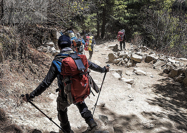 Nepal  Solo Khumbu  Everest  Sagamartha National Park  Mountaineers walking on dirt track