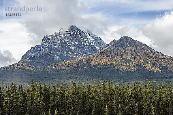 Kanada  Alberta  Banff  Wald und schneebedeckte Berge im Banff National Park