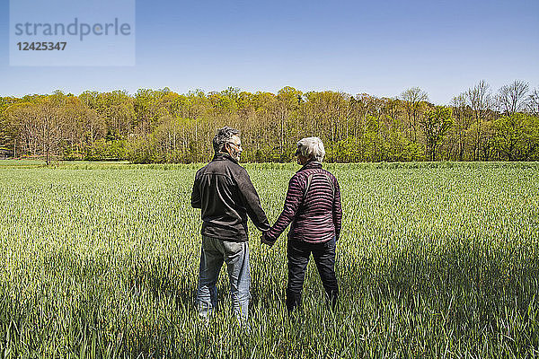 Reifes Paar hält Hände im Feld