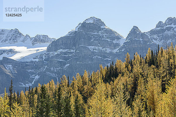 Kanada  Alberta  Banff  Wald und Berge im Banff-Nationalpark