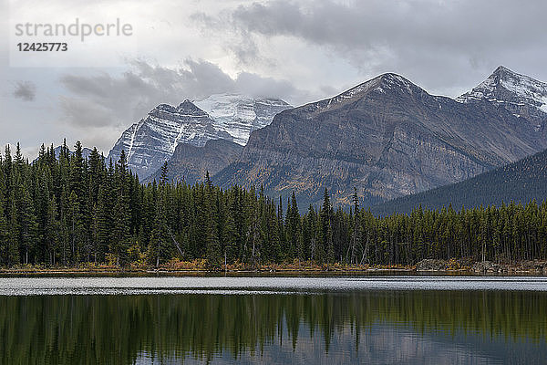 Kanada  Alberta  Banff  Herbert Lake  Wald und Berge
