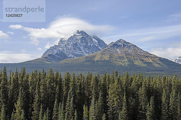 Kanada  Alberta  Banff  Blick auf Berge und Wald