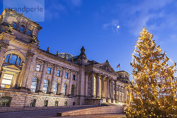 Deutschland  Berlin  Weihnachtsbaum vor dem Reichstag