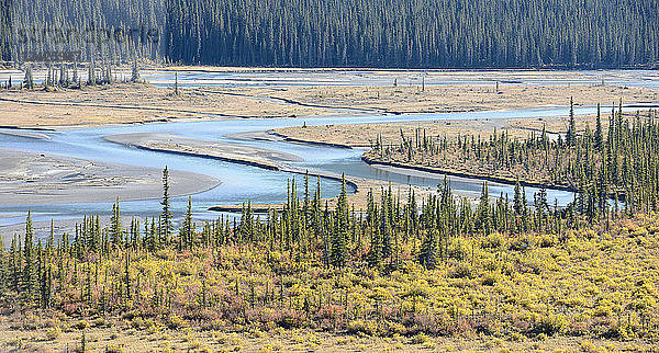 Kanada  Alberta  Jasper  Flussdurchquerende Landschaft im Jasper National Park