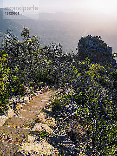 Treppe im Blue Mountains National Park