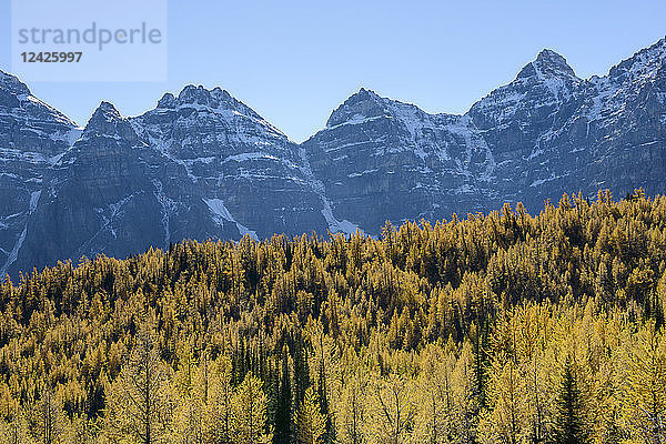 Kanada  Alberta  Banff  Wald und Berge im Banff-Nationalpark