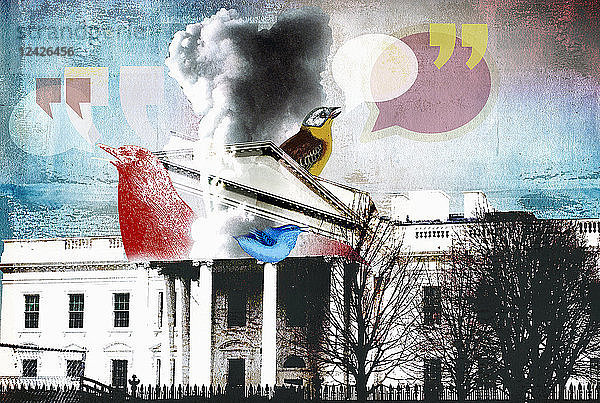 Vögel zwitschern aus dem Weißen Haus