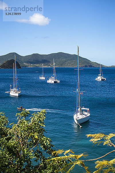 Blick auf Segelboote im Meer  Bourg de Saintes  Isles des Saintes  Guadeloupe