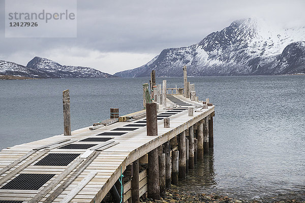 Blick auf einen Pier ohne Boote an der Küste von Tromso  Norwegen