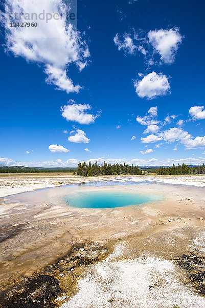 Panoramablick auf den Opal Pool  Yellowstone-Nationalpark  Wyoming  USA