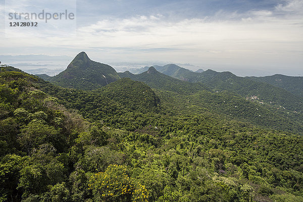 Wunderschöne Naturkulisse aus Wald und Bergen  Tijuca Forest National Park  Rio de Janeiro  Brasilien