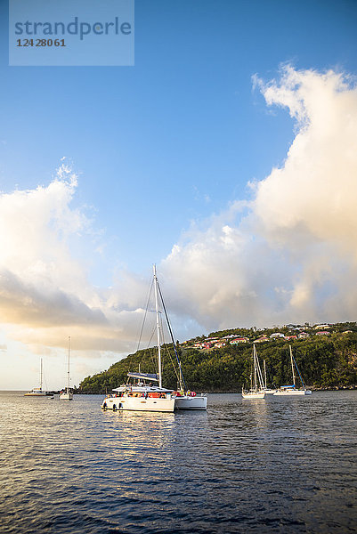 Blick auf die Küstenlinie mit verankerten Segelbooten  Bouillante  Basse Terre  Guadeloupe