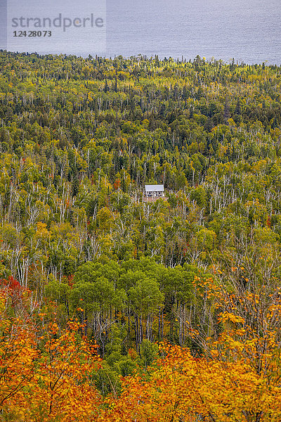Blick auf einen Wald mit Blockhütte  Wanderweg am Oberg Mountain  Tofte  Minnesota  USA