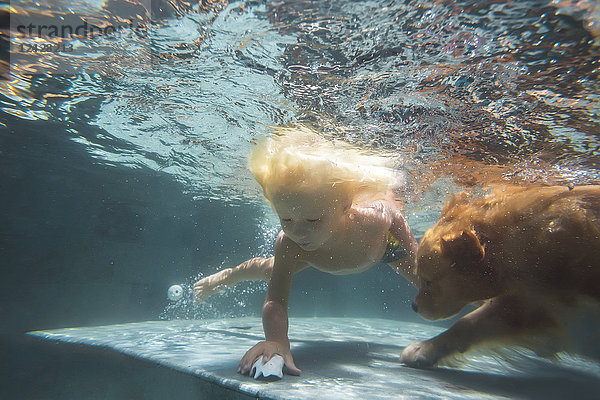 Unterwasseransicht eines Jungen und eines Hundes beim Schwimmen im Pool