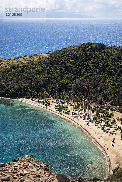 Luftaufnahme von Strand mit Palmen  Bourg de Saintes  Isles des Saintes  Guadeloupe