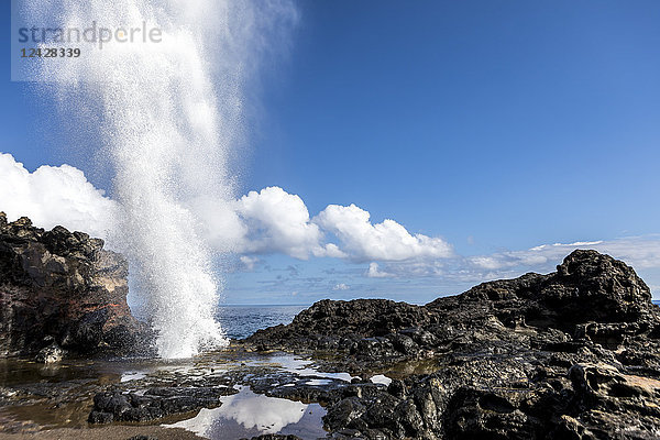 Nakalele Blowhole  das Wasser in die Luft sprüht  Maui  Hawaii  USA