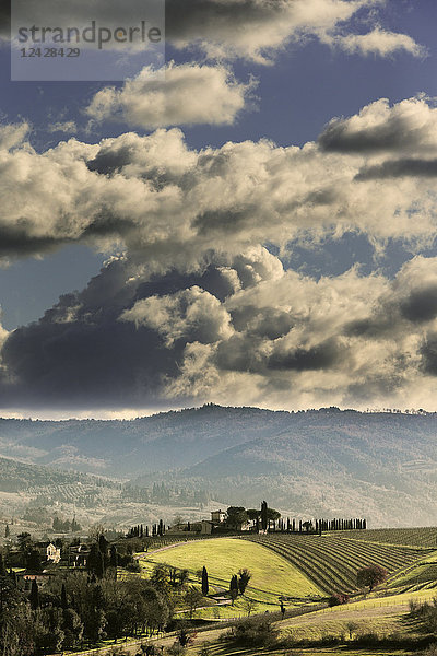 Typische toskanische Landschaft mit einem Weinberg und einem Bauernhaus unter bewölktem Himmel.