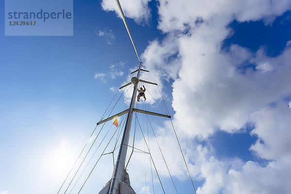Blick von unten auf einen Mann  der am Mast eines Segelboots hängt  vor blauem Himmel und Wolken  Lombok  Indonesien