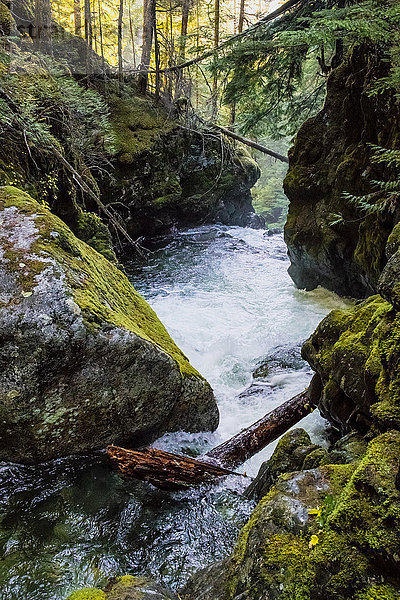 Schöne Naturlandschaft mit klarem Wasser  das zwischen Felsen im Wald fließt  Whistler  British Columbia  Kanada