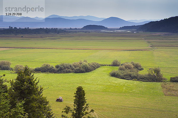 Der ausgetrocknete Grund des intermittierenden Sees Cerknica in der Karstregion Sloweniens im Sommer. Aufgrund seiner regelmäßigen Austrocknung und Auffüllung zog dieser See bereits im 17. Jahrhundert Entdecker an und ist seitdem Gegenstand von Studien und Bewunderung. Die ausgedehnten Schilfgebiete des Sees bieten einer Vielzahl von Wasser- und anderen Vögeln Schutz  Nahrung und Nistplätze. Der See ist Nistplatz für 94 verschiedene Arten  obwohl mehr als 230 Arten in seiner Umgebung beobachtet wurden. Dies macht den Cerknica-See zu einem wichtigen ornithologischen Standort. Im Sommer ist der Cerknica-See normalerweise vollständig trockengelegt. Wenn der Wasserstand sinkt  werden unter einer dicken Sedimentschicht tiefe Senkgruben freigelegt.