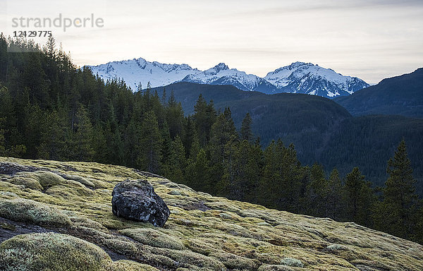Majestätische Naturkulisse des Tantalus-Gebirges  Squamish  British Columbia  Kanada