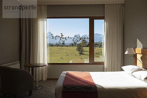 Interieur eines Hotelzimmers im Nationalpark Torres del Paine  Region Magallanes  Chile