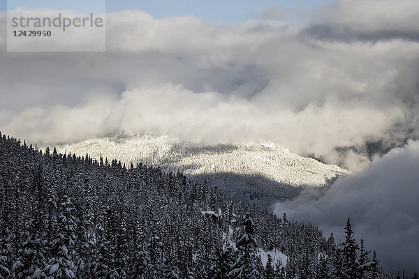 Majestätische Aussicht auf schneebedeckte Berge und Wälder im Winter  Whistler  British Columbia  Kanada
