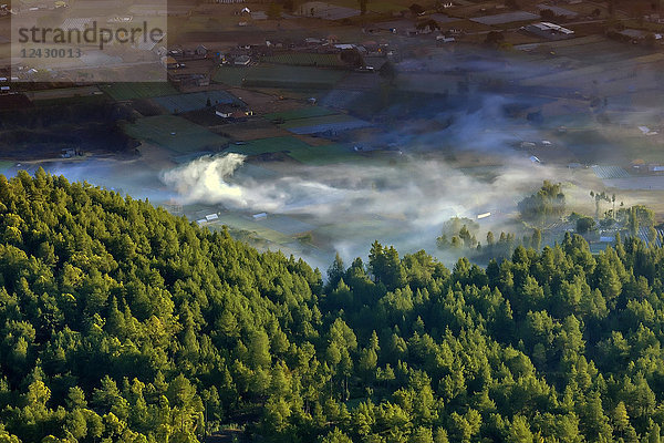 Landschaftliche Luftaufnahme von Wald und Feldern mit Nebel  Mount Batur  Bali  Indonesien