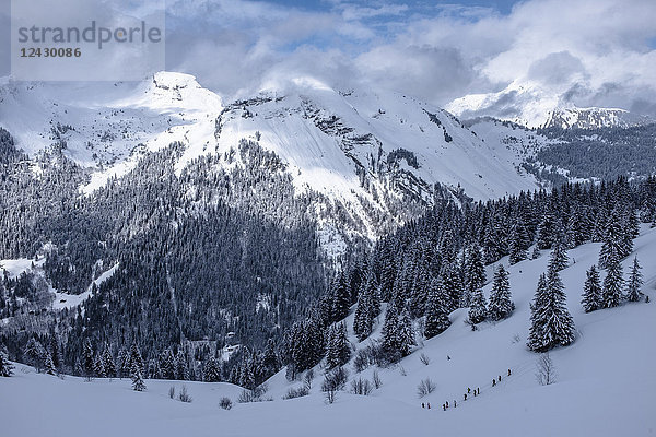 Majestätische Winterlandschaft mit schneebedeckten Bergen und Wald  Morzine  Portes du Soleil  Haute-Savoie  Frankreich