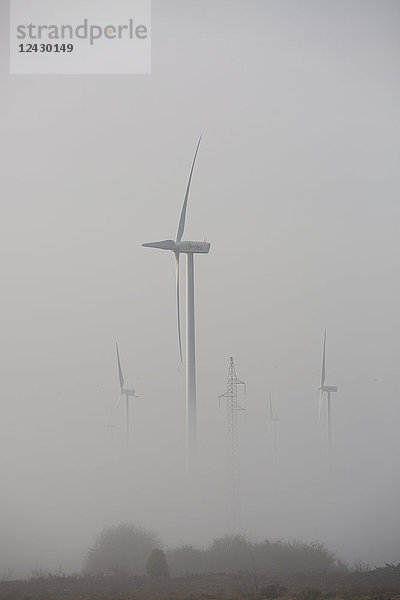 Windkraftanlagen im Nebel  Burgos  Kastilien und Leon  Spanien
