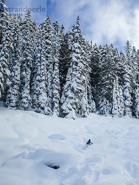 Landschaftlicher Blick auf Wald im Winter und Frau beim Snowboarden in der Ferne  Whistler  British Columbia  Kanada