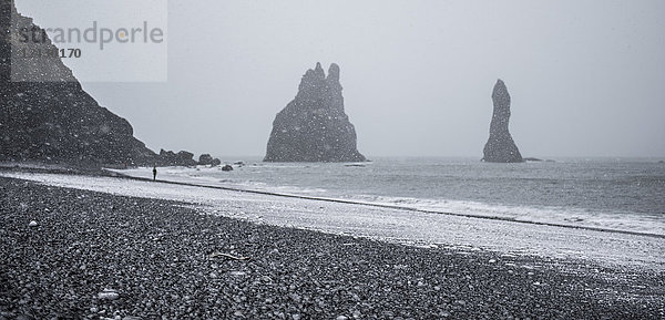 Majestätische Naturkulisse von Meeresstapeln in Strandnähe im Winter  Vik i Myrdal  Island