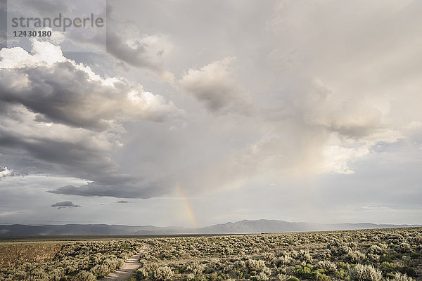 Schöne Naturlandschaft mit Regenbogen und Wolkenlandschaft über Salbeibuschwüste  Taos  New Mexico  USA