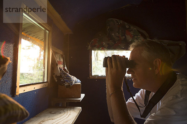 Ein Mann mit Fernglas in einem Unterschlupf  der darauf wartet  einen wilden Braunbären in einem Wald in der Region Notranjska in Slowenien zu sehen. Dieses Gebiet ist bekannt für faszinierende Karstphänomene wie den Cerknica-See  den größten intermittierenden See der Welt  und die Krizna-Jama-Höhle  eine Karsthöhle mit einer Kette unterirdischer Seen. Natürlich darf man auch die Wälder des Dinarischen Karstes nicht außer Acht lassen  die den Populationen von Braunbär  Luchs  Wolf  Uralkauz und Dreizehenspecht Schutz bieten.