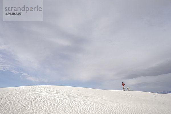 Fernblick auf einen Mann  der mit seinem Hund in der Wüste des White Sands National Monument  New Mexico  USA  wandert