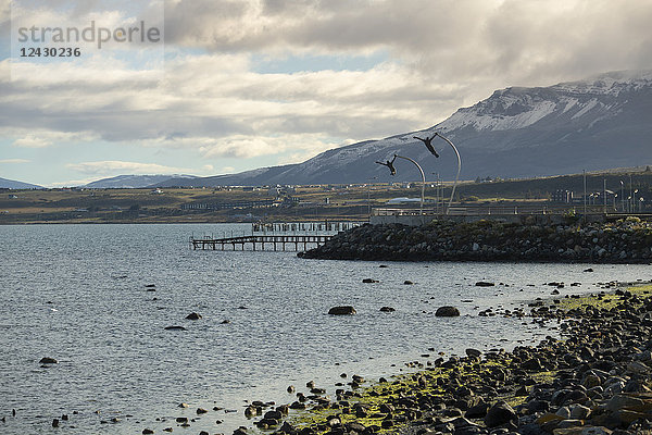 Blick auf die Küste mit Anlegestellen im Hintergrund  Puerto Natales  Region Magallanes  Chile