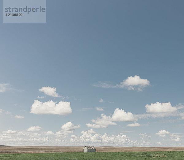 Kleine Scheune auf weiter  offener Prärie  Saskatchewan  Kanada.