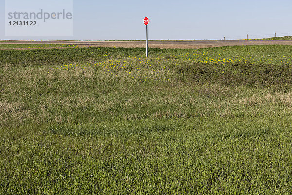 Stoppschild entlang der Landstraße und der Farm  in der Nähe von Cadillac  Saskatchewan  Kanada.