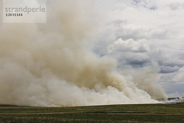 Rauch von kontrollierter Verbrennung auf Ackerland  jahreszeitlich bedingte Verbrennungen zur Stoppelbeseitigung.