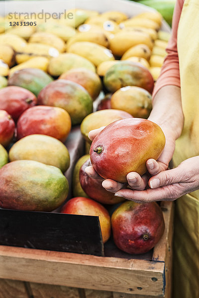 Schrägaufnahme einer Person mit frischer Mango auf einem Obst- und Gemüsemarkt.