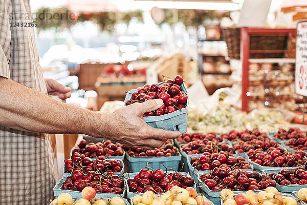 Nahaufnahme einer Person  die auf einem Obst- und Gemüsemarkt ein Körbchen mit frischen roten Kirschen hält.