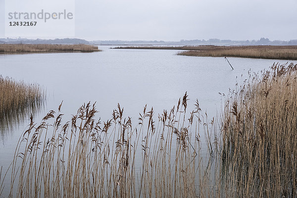 Landschaftsansicht über einen Fluss mit goldenem Schilf  das entlang des Flussufers wächst.