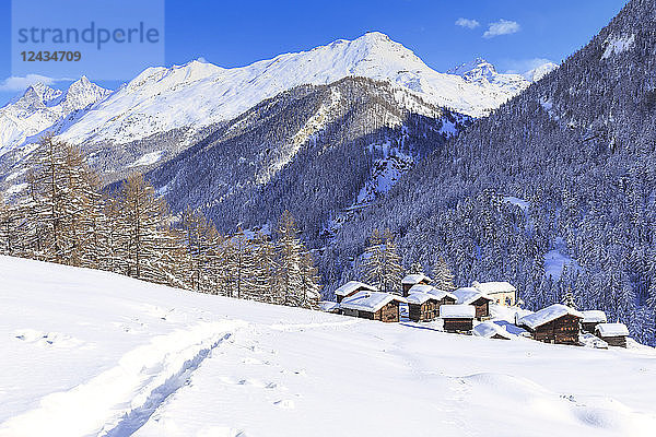Eine Spur im Schnee führt zu den traditionellen Hütten von Blatten  Zermatt  Kanton Wallis  Schweiz  Europa