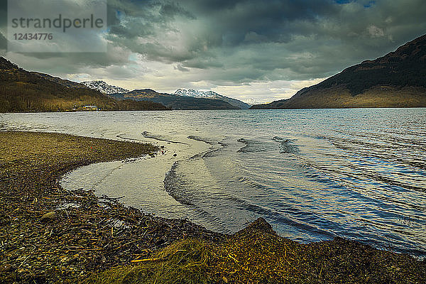 Die Ufer des Loch Lomond im Winter im Loch Lomond and The Trossachs National Park  Stirling  Schottland  Vereinigtes Königreich  Europa