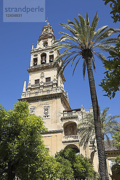 Torre del Alminar Glockenturm der Mezquita vom Patio de los Naranjos aus gesehen  Cordoba  Andalusien  Spanien  Europa