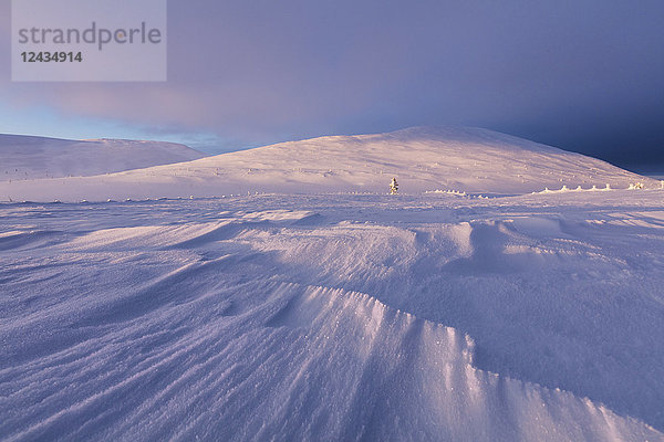 Dämmerung in verschneiter Landschaft  Pallas-Yllastunturi-Nationalpark  Muonio  Lappland  Finnland  Europa