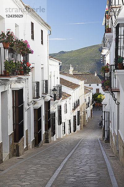 Enge Straße im andalusischen weißen Dorf  Zahara de la Sierra  Naturpark Sierra de Grazalema  Andalusien  Spanien  Europa