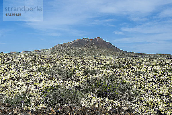Grüner Vulkankegel  La Oliva  Fuerteventura  Kanarische Inseln  Spanien  Atlantik  Europa