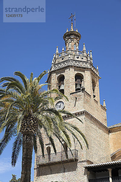 Palme und Turm der Iglesia de Santa Maria la Mayor  Ronda  Andalusien  Spanien  Europa