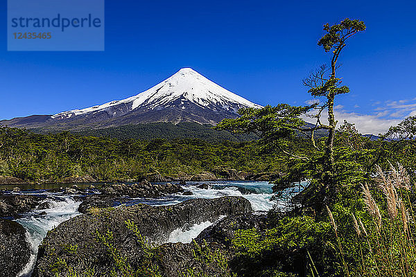 Stromschnellen von Petrohue  schneebedeckter  kegelförmiger Vulkan Osorno  Nationalpark Vicente Perez Rosales  Quelle  Seengebiet  Chile  Südamerika